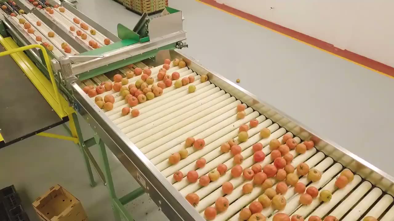Wide-angle view of a modern beverage manufacturing plant with automated bottling lines, stainless steel processing equipment, and high-speed conveyors transporting bottles through production.